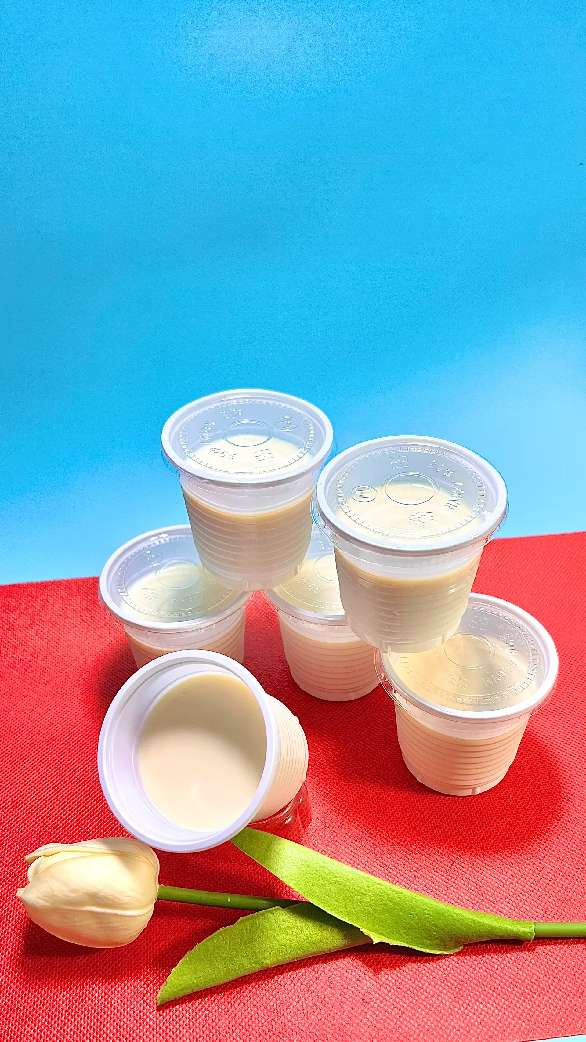 Hình ảnh 3 Sữa Chua Phô Mai