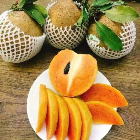 Hình ảnh Sinh tố hồng xiêm