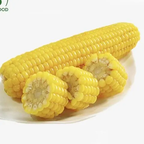 Hình ảnh Bắp _ Nhỏ
