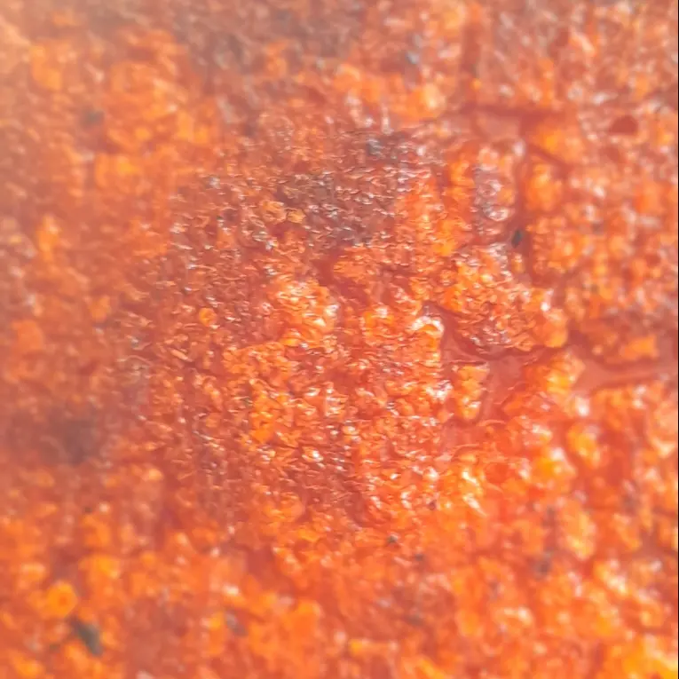 Hình ảnh Heo quay da giòn 100gram