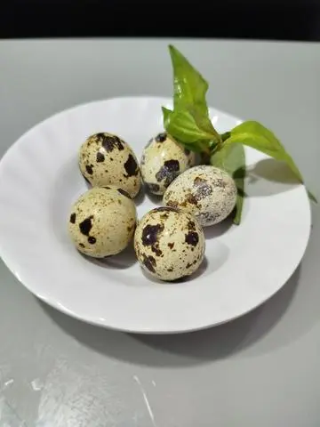 Hình ảnh TRỨNG CÚT THÊM