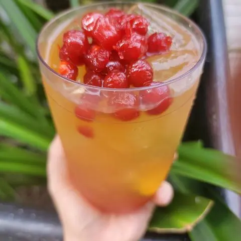 Hình ảnh Lục Trà Sơri
