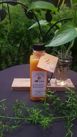 Hình ảnh Nước ép Dưa lưới 250ml