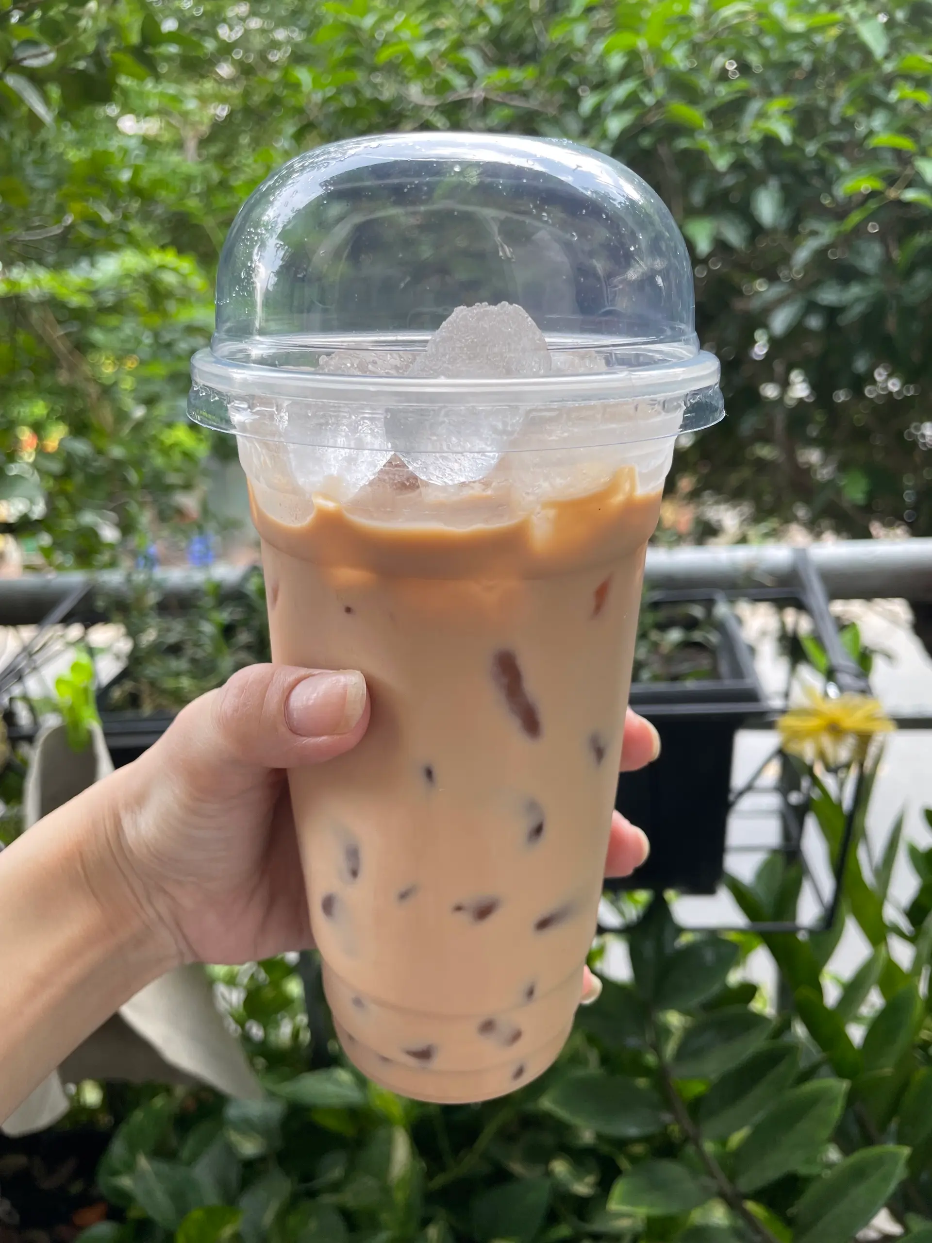 Hình ảnh Trà sữa truyền thống ( không trân châu )