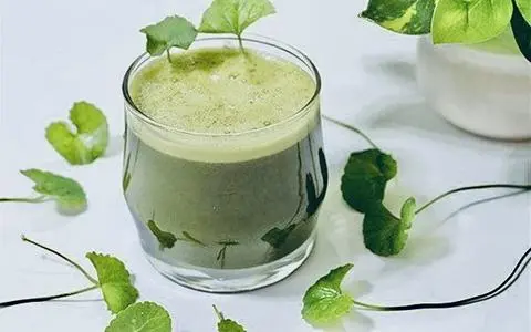 Hình ảnh Rau Má 