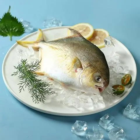 Hình ảnh 1 CÁ CHIM 