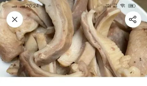 Hình ảnh Tô cháo bao tử