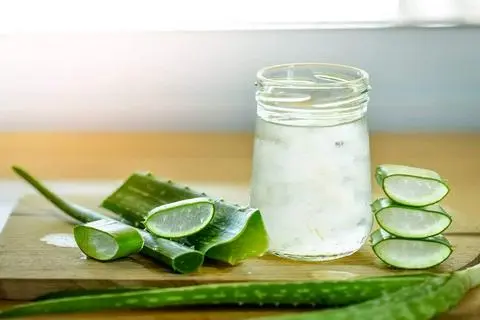 Hình ảnh Nha đam mủ trôm