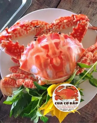 Hình ảnh 1 GHẸ ĐỎ CƠ BẮP (350~450gr)