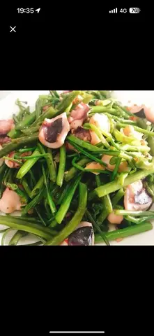 Hình ảnh Mực xào mì