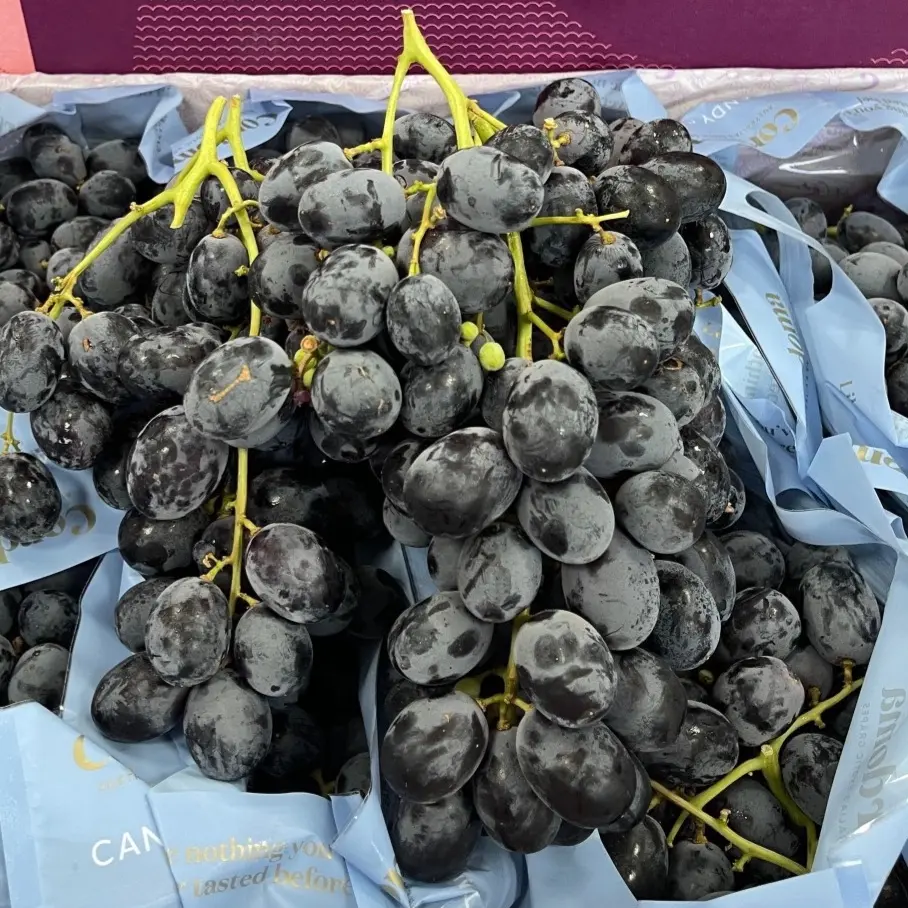 Hình ảnh Nho Đen Úc Giòn Ngọt Lịm _500gr