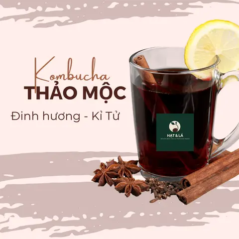Hình ảnh Kombucha Thảo Mộc - Kỉ Tử - Hoa Hồi (Chai 330ml)
