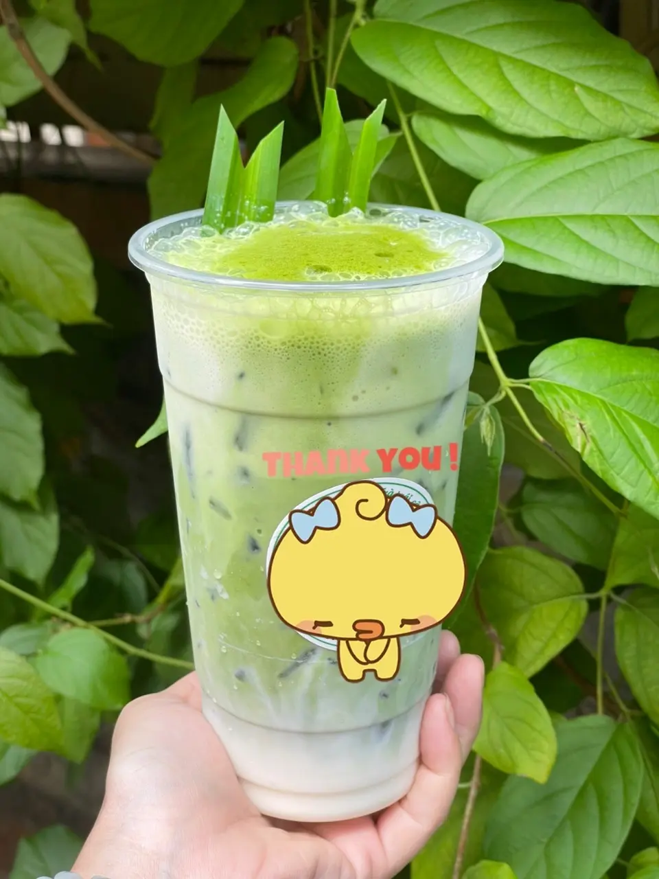 Hình ảnh Matcha Latte