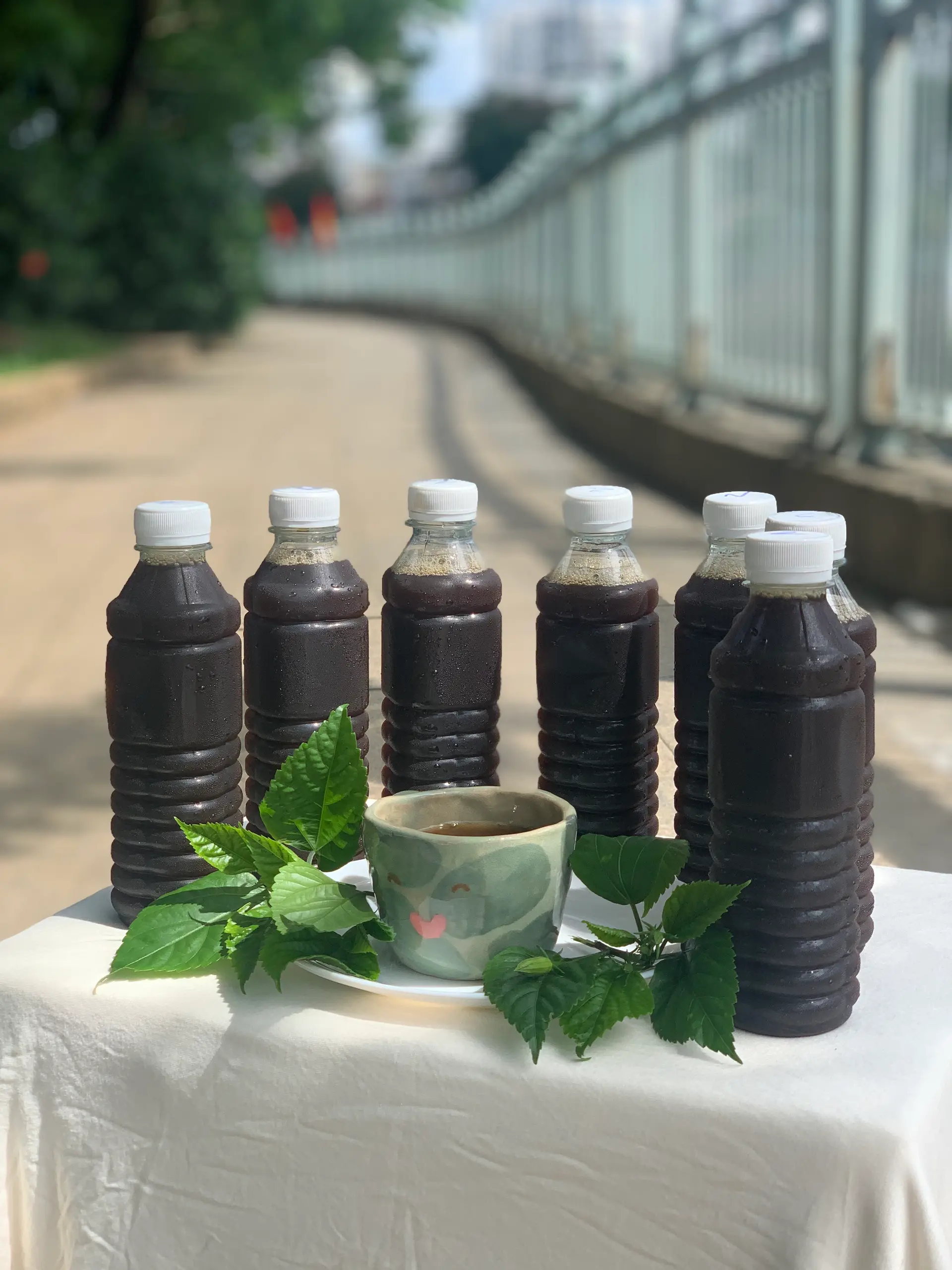 Hình ảnh Trà Thanh Tâm
