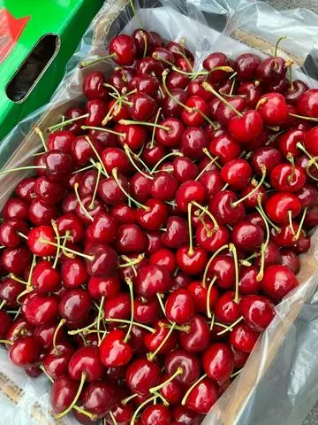 Hình ảnh Cherry Úc Hộp Nhỏ 