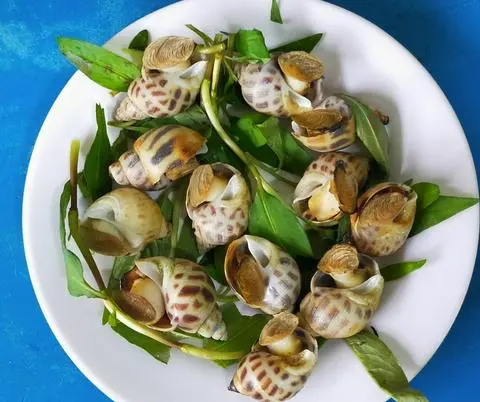 Hình ảnh ốc hương hấp xã 