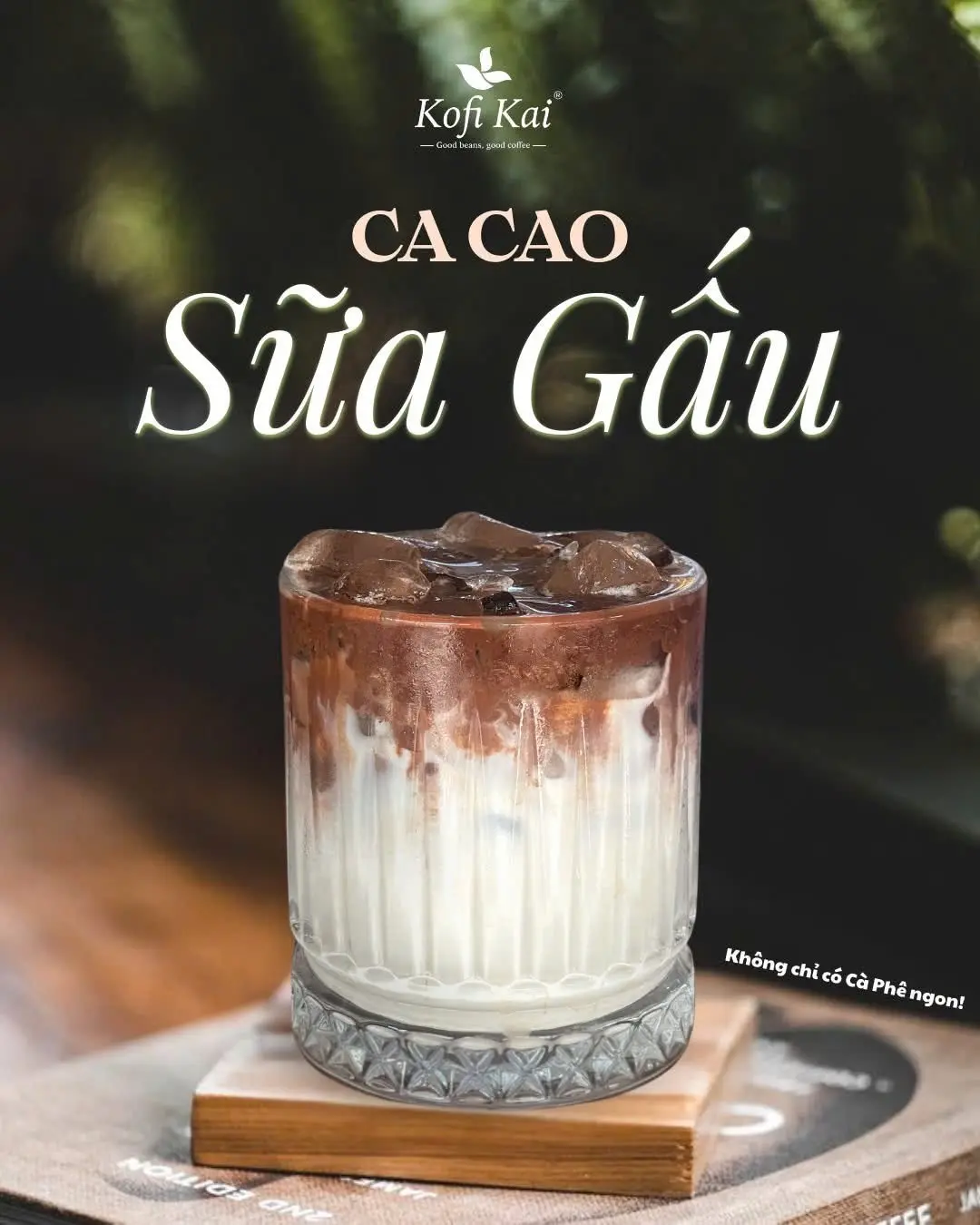 Hình ảnh Cacao sữa gấu