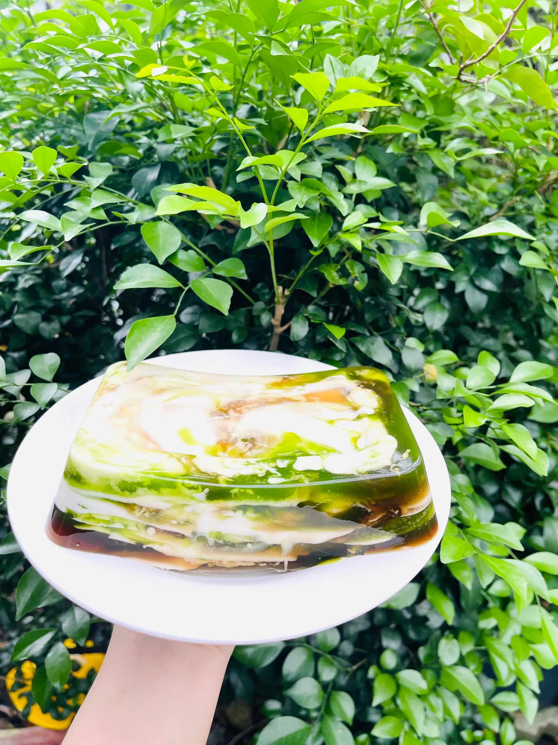 Hình ảnh Rau câu sơn thuỷ - hộp vuông 600gram