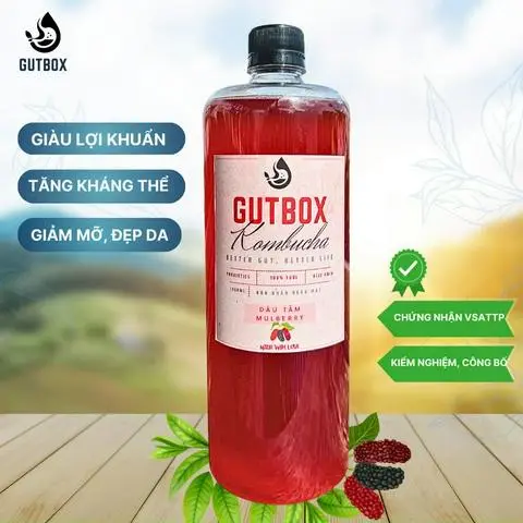 Hình ảnh 1 LIT KOMBUCHA DÂU TẰM (Mulberry)