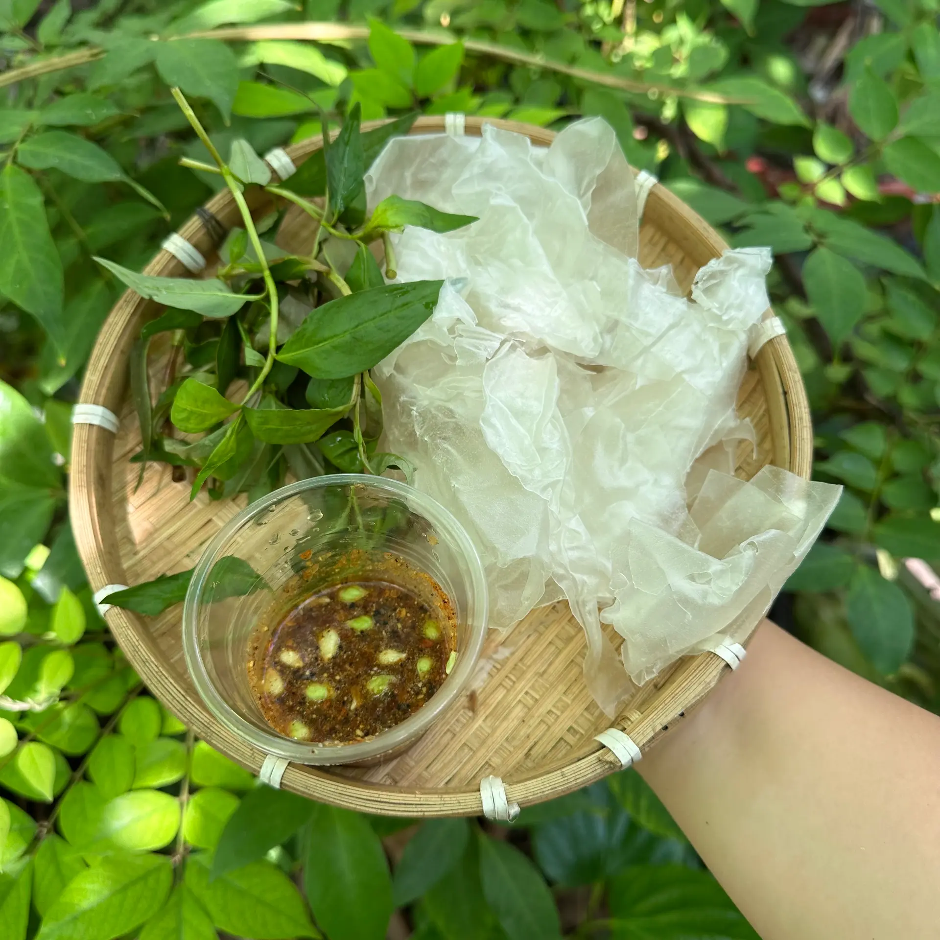 Hình ảnh Bánh Tráng Chấm - Muối Tắc 
