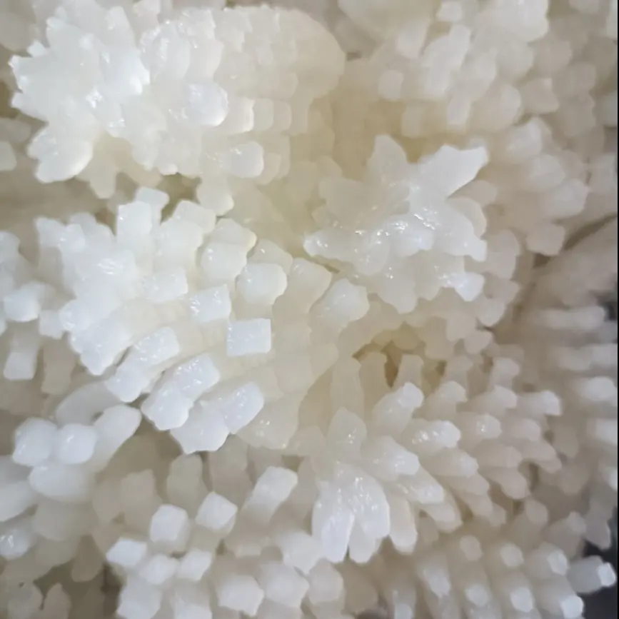 Hình ảnh Mực hoa thêm 