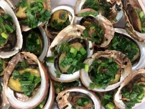 Hình ảnh Bào ngư Việt Nam