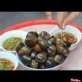 Hình ảnh ốc lát hấp xã