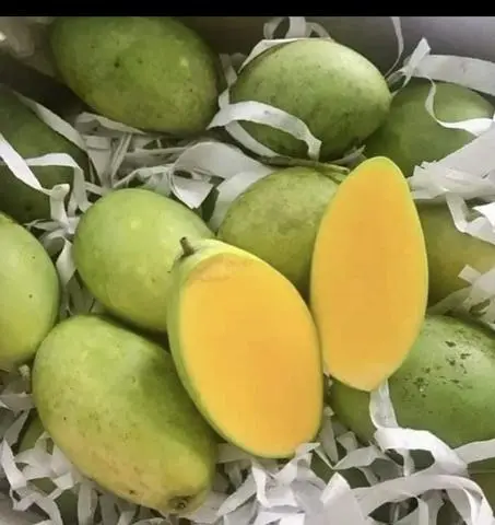 Hình ảnh Xoài keo _500gr