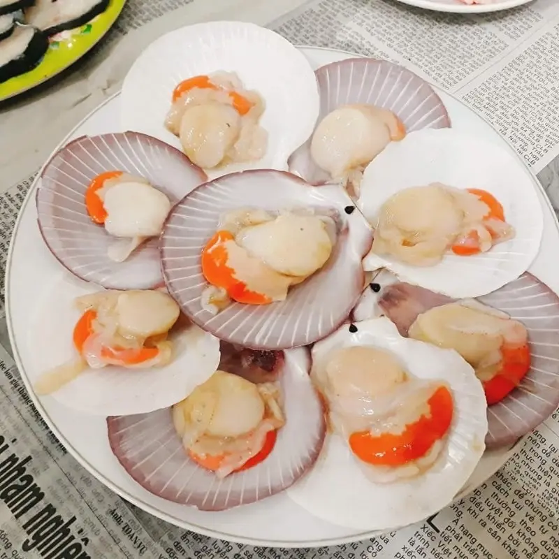 Hình ảnh sò điệp