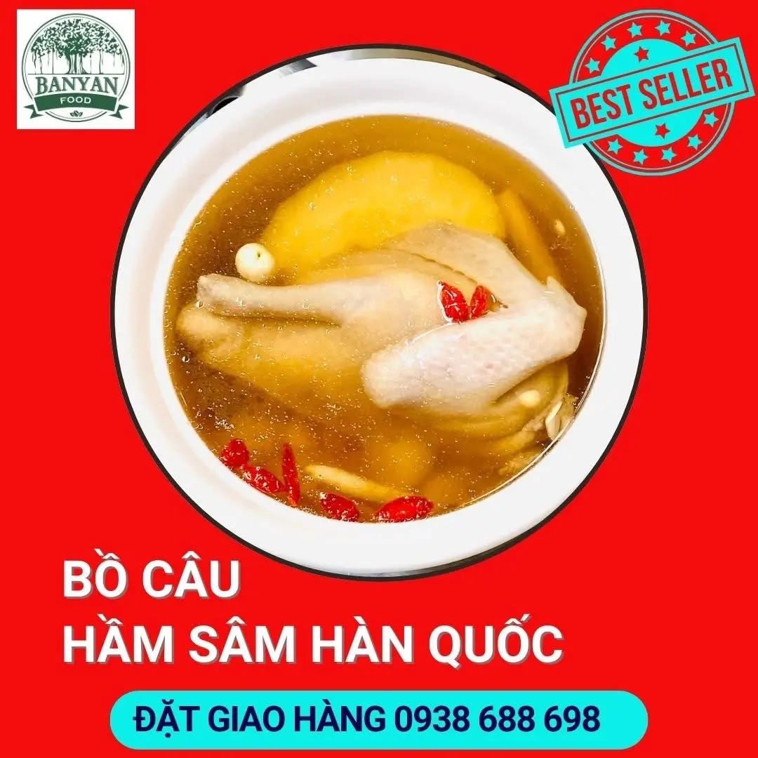 Hình ảnh Bồ câu hầm sâm Hàn Quốc 