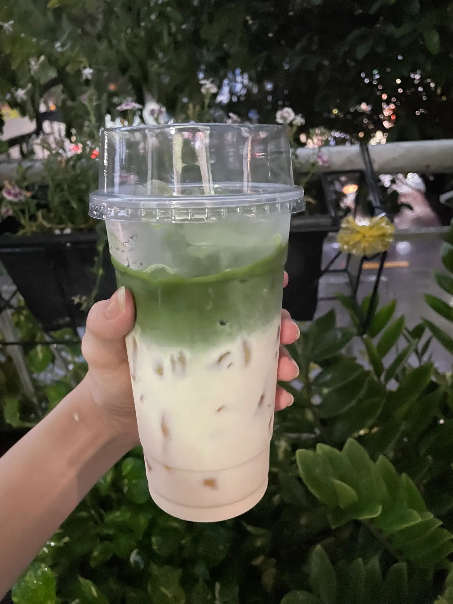 Hình ảnh Matcha Sữa Gấu
