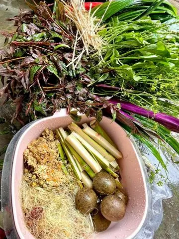 Hình ảnh Nước Sâm Đường Phèn