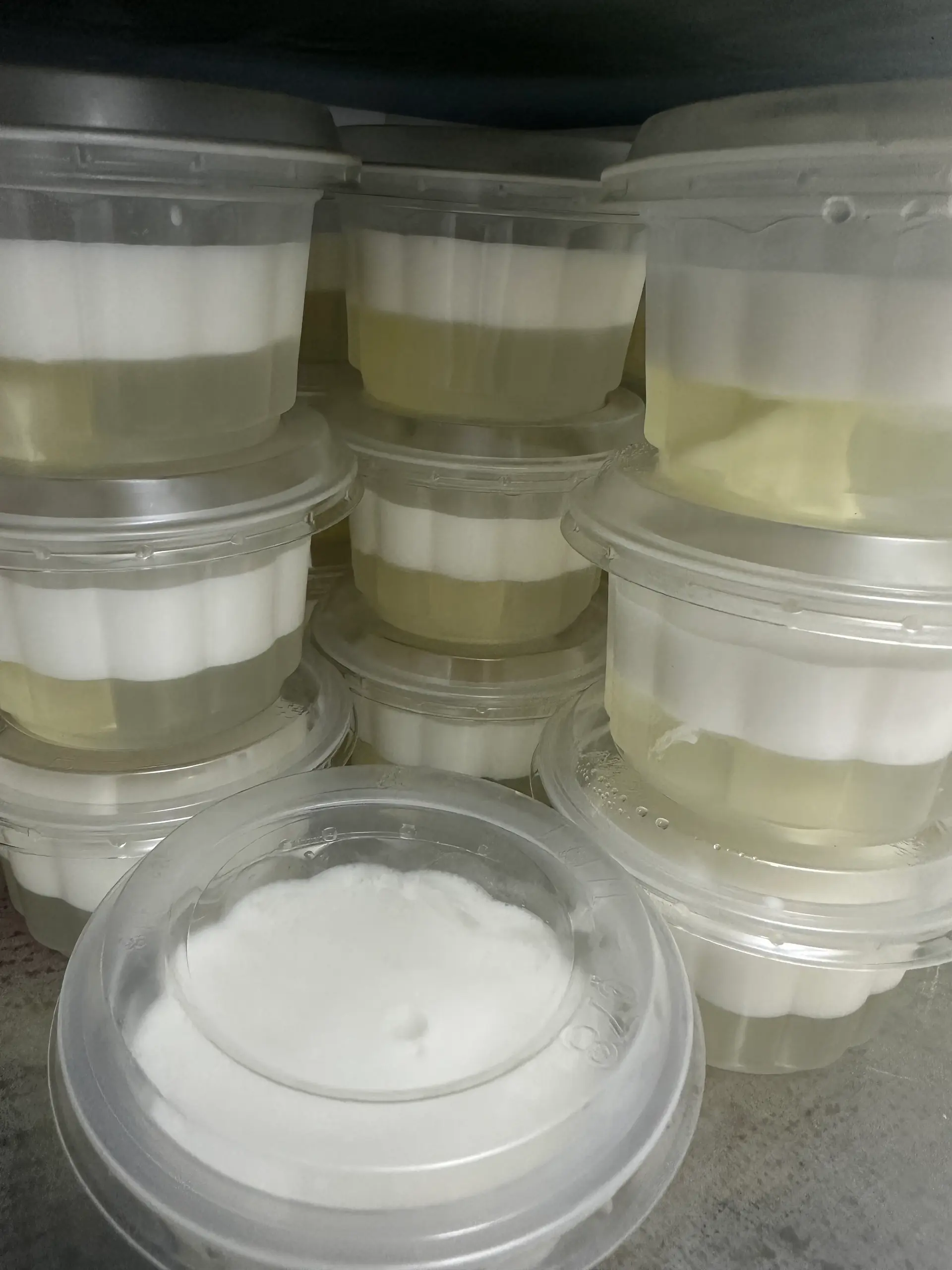 Hình ảnh Rau câu dừa phô mai (1 hộp)