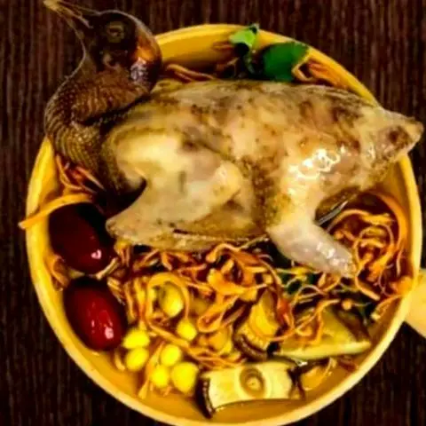Hình ảnh Bồ câu tiềm đông trùng