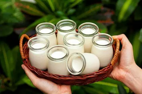 Hình ảnh Sữa chua truyền thống