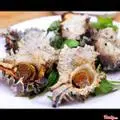 Hình ảnh ôc gai nướng muối ớt 