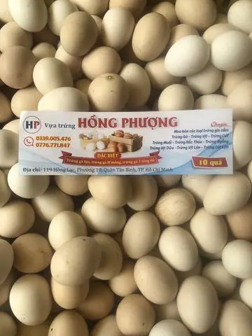 Hình ảnh Trứng Gà Lộn Sống 