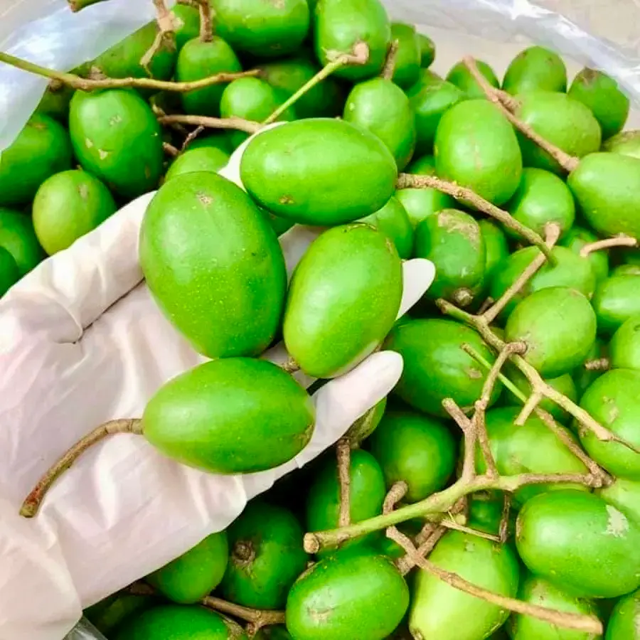 Hình ảnh Cóc Thái non