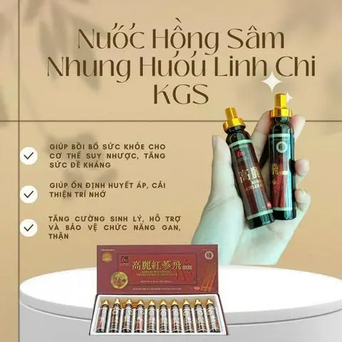 Hình ảnh NƯỚC HỒNG SÂM NHUNG HƯƠU 