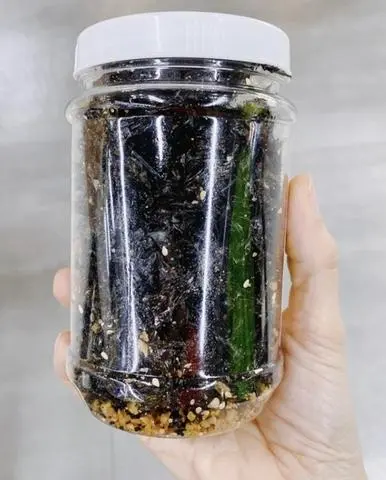 Hình ảnh Rong biển cháy tỏi