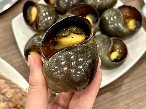 Hình ảnh Ốc bươu