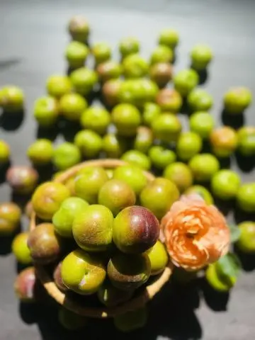 Hình ảnh Mận Cherry Seo Róc Hạt - 500g