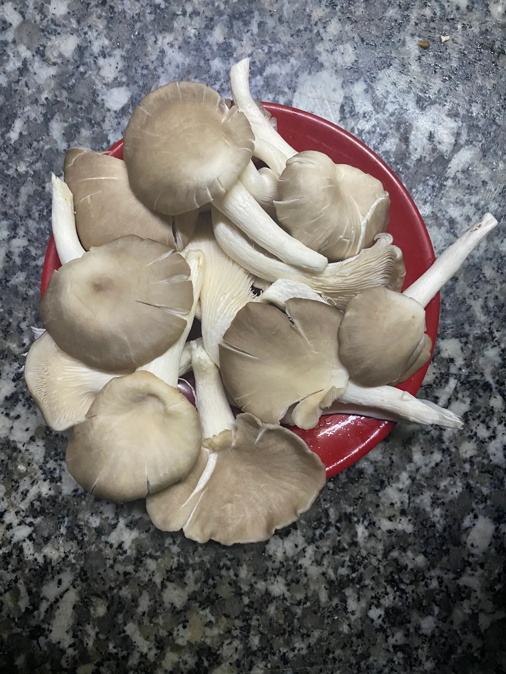 Hình ảnh Nấm Thêm 