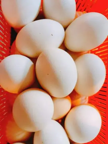 Hình ảnh Trứng Gà