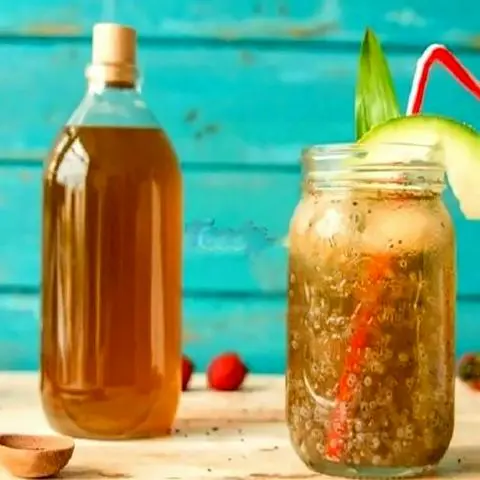 Hình ảnh Trà Bí Đao Hạt Chia( Chai 330ml) 