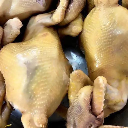 Hình ảnh Gà cúng chéo cánh tiên