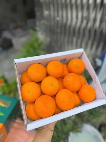 Hình ảnh Quýt tấm Úc ( hộp 1kg )