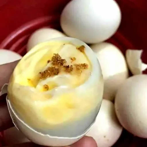 Hình ảnh Hột vịt dữa