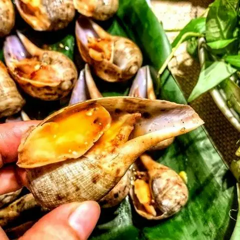 Hình ảnh Ốc muỗng nướng mọi