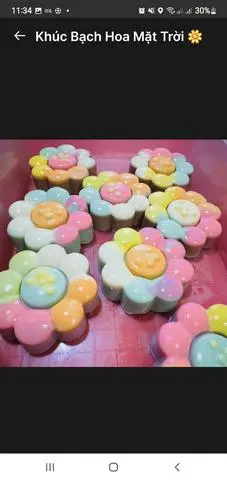 Hình ảnh Khúc bạch hình Hoa Mặt Trời 